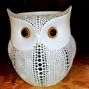 White Hand Painted Decorative Owl